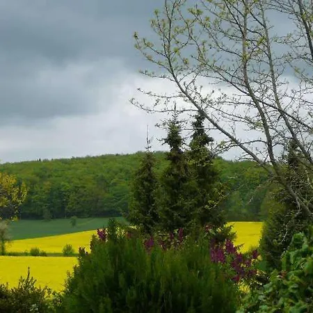 فندق Haus Drei Tannen Schieder-Schwalenberg