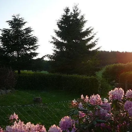 فندق Haus Drei Tannen 3*