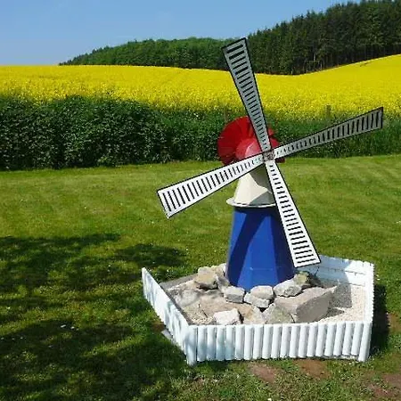 Haus Drei Tannen ホテル