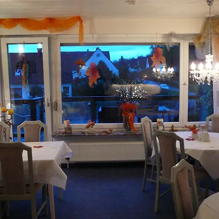 فندق Haus Drei Tannen 3*