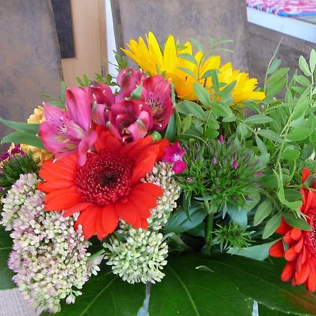 فندق Haus Drei Tannen Schieder-Schwalenberg