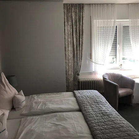 Отель Haus Drei Tannen 3*