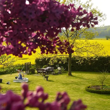 فندق Haus Drei Tannen 3*