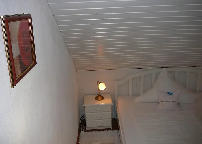 Hotel Haus Drei Tannen 3*