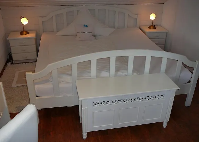 德瑞塔内酒店 酒店 席德尔·施瓦伦贝尔