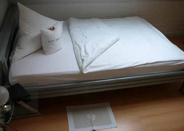 德瑞塔内酒店 酒店 席德尔·施瓦伦贝尔