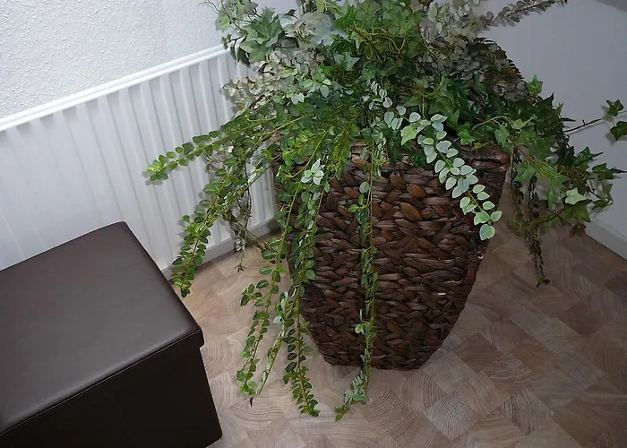 德瑞塔内酒店 酒店