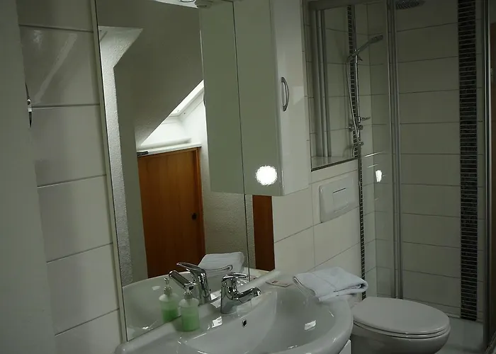 Hotel Haus Drei Tannen 3*