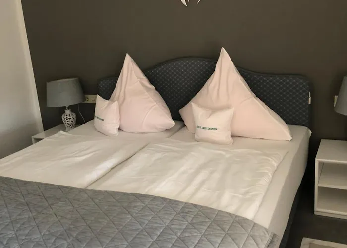 德瑞塔内酒店 3* 席德尔·施瓦伦贝尔